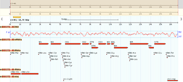 LSM Graph Thingie